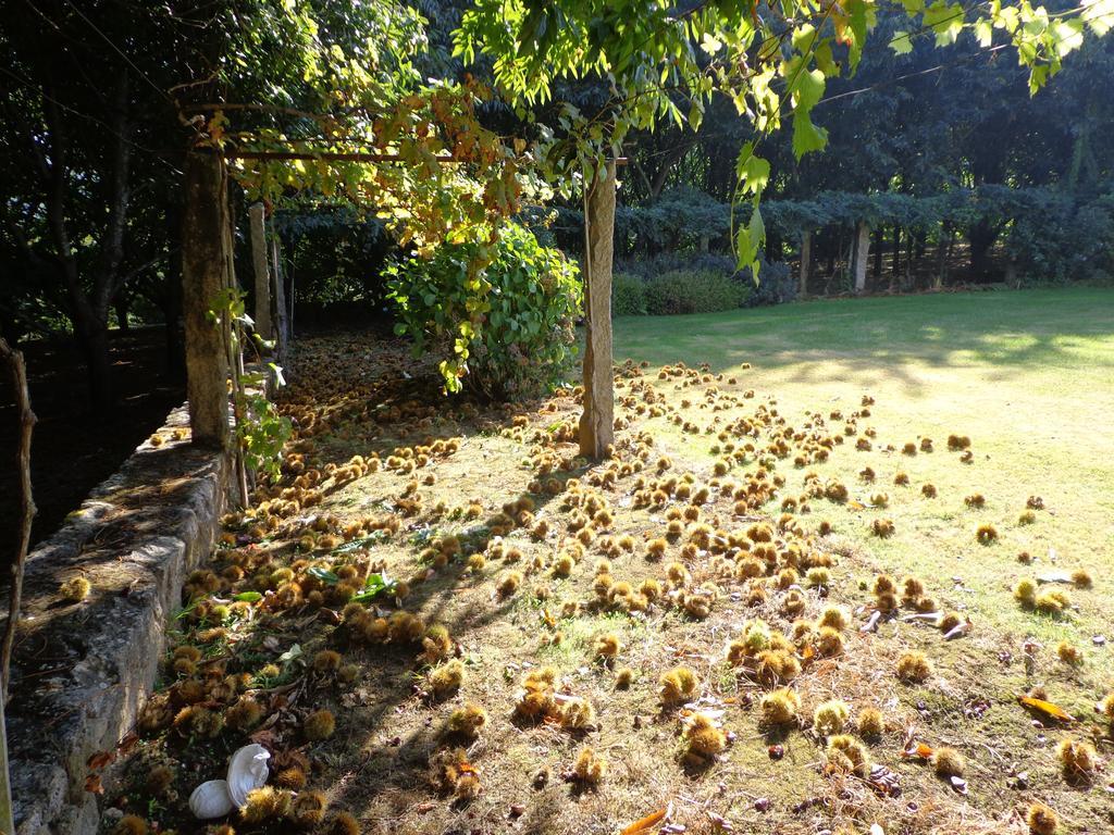 ホテル Quinta Do Casal Do Condado Facha エクステリア 写真